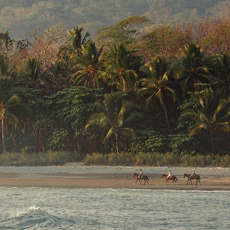 Hotel Santa Teresa By The Beach Playa Santa Teresa (Puntarenas) Exterior foto